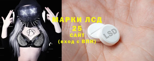 стафф Алзамай