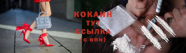 стафф Алзамай
