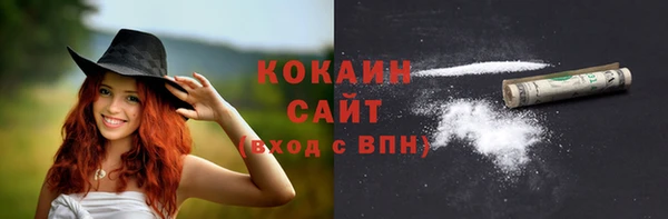 твердый Алексин