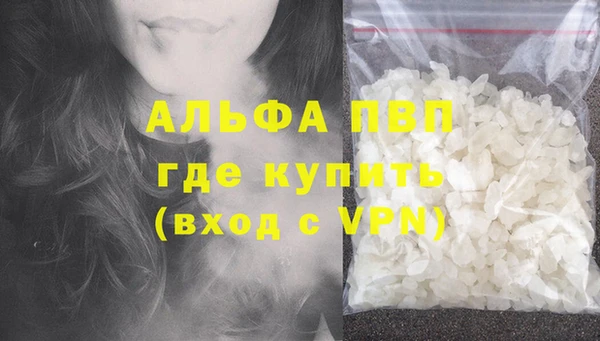 стафф Алзамай