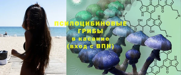 твердый Алексин