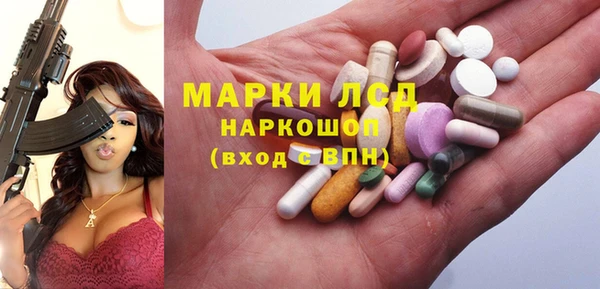 стафф Алзамай
