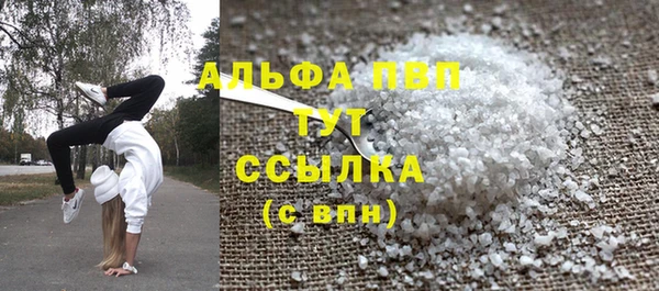 стафф Алзамай