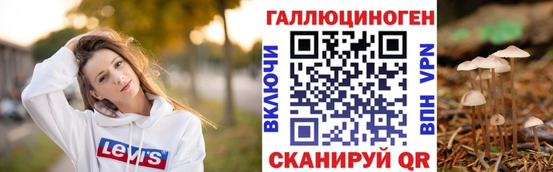 Псилоцибиновые грибы мухоморы  магазин продажи наркотиков  Курганинск 