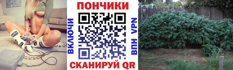 ссылка на мегу онион наркота Курганинск Каннабис AK-47